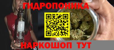 индика Нальчик