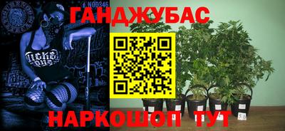индика Нальчик