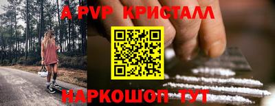 индика Нальчик