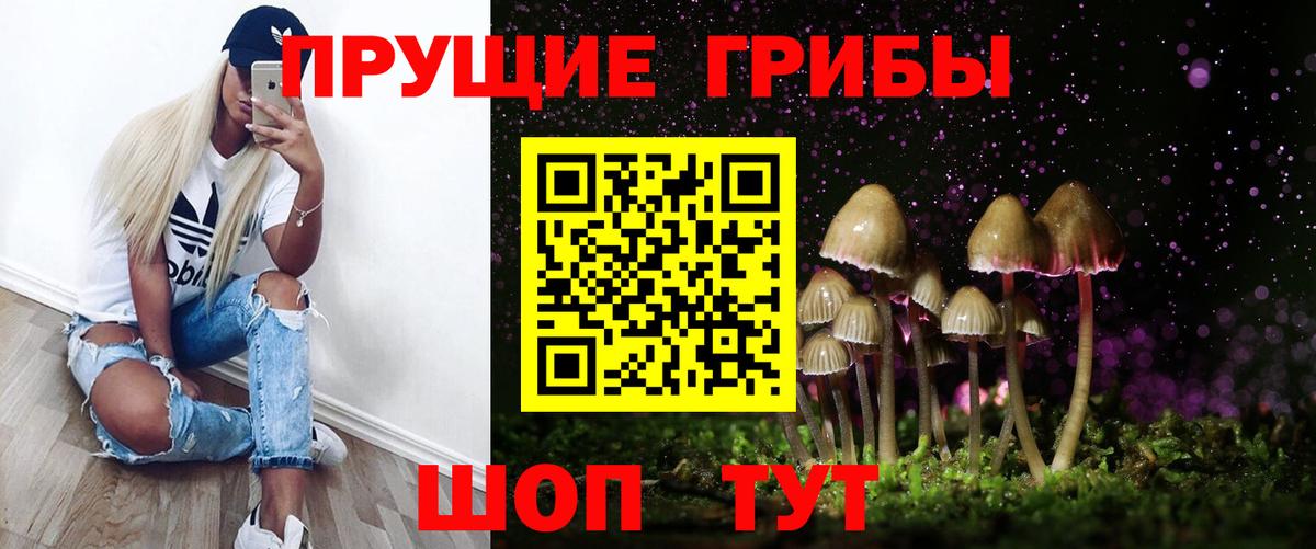 Спасск-Дальний  Галлюциногенные грибы ЛСД  Вход с VPN 